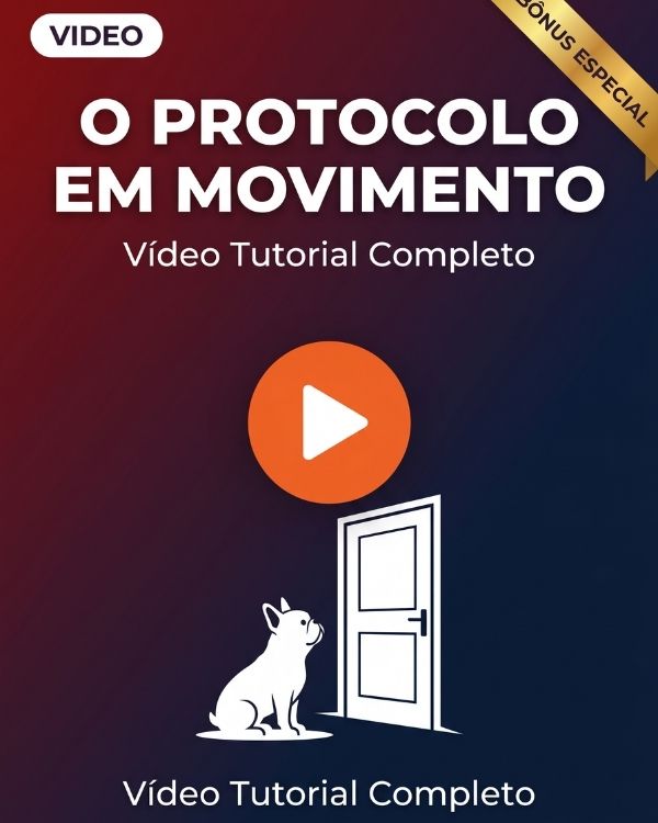 Capa Bônus 3 O Protocolo em Movimento